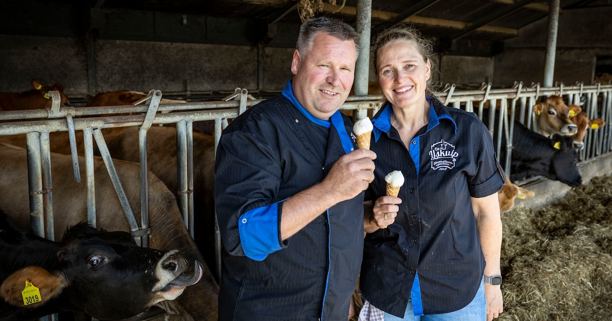Boerenijs dat zelfs de Italianen verslaat: ‘Onze melk maakt het magisch smeuïg’