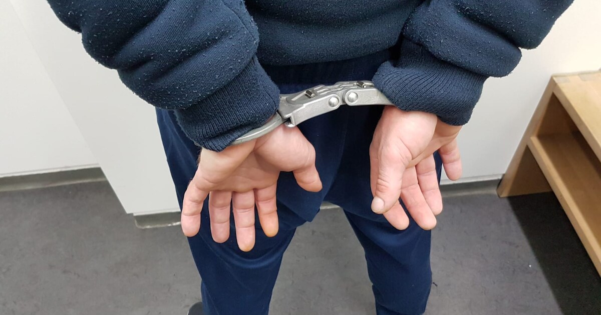 Roemeense dievenbende gepakt bij de grens na meldingen uit Terborg