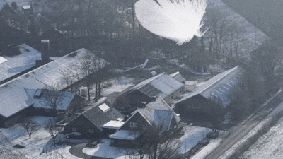 Exclusief: het veertje waar Jan al jaren bang voor was, viel deze week op zijn erf