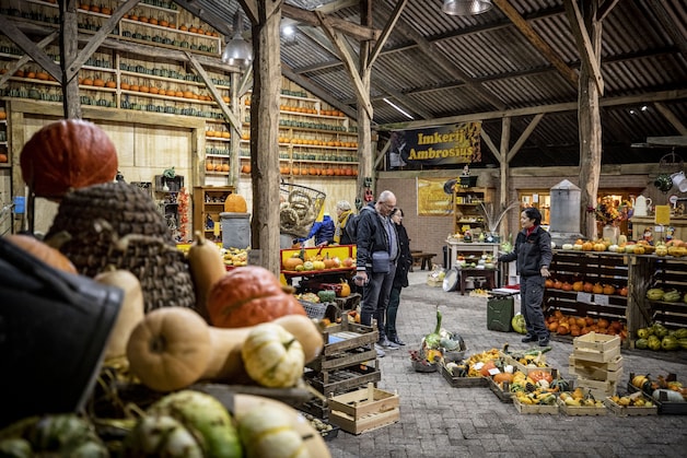 De pompoenen van Ginette en Marc uit Mander zijn beroemd: ‘Ik wilde ...