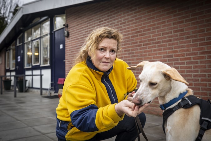 Nieuwe beheerder dierenopvang Oldenzaal voelt zich als vis in ’t water ...