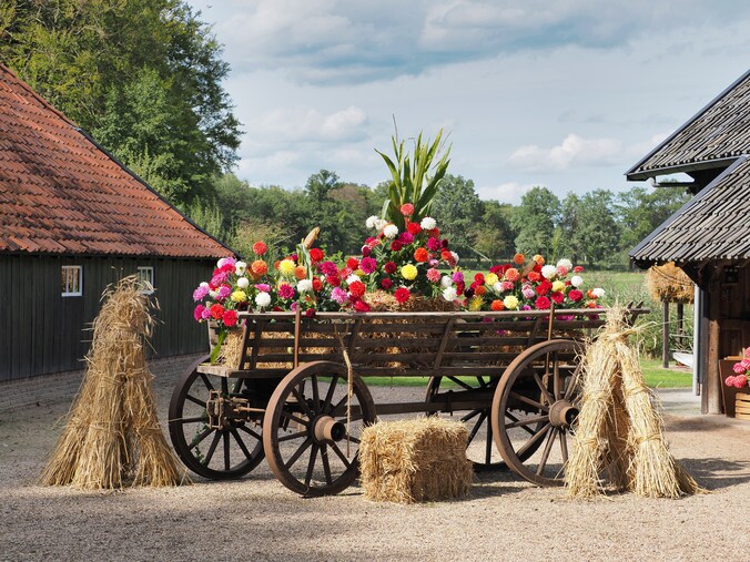 Cultureel Straatfestival Delden op nieuwe locatie | Regio | Tubantia.nl
