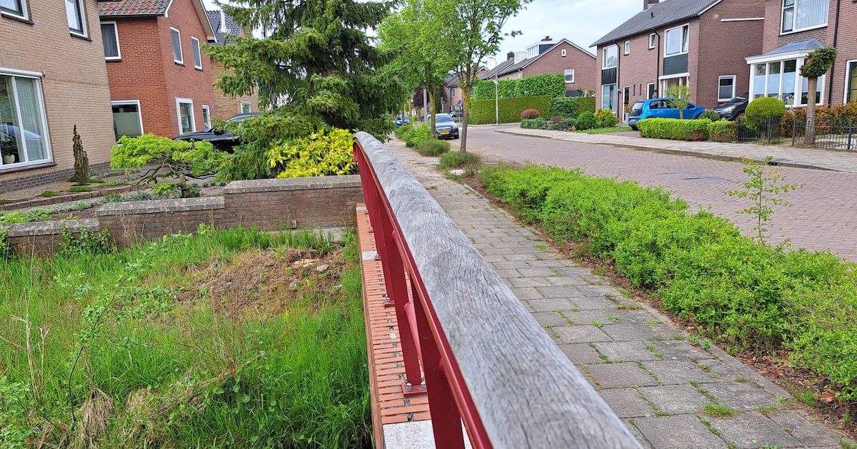 Oplossing wateroverlast in Deurningen is complex, aanpak buurt weer uitgesteld