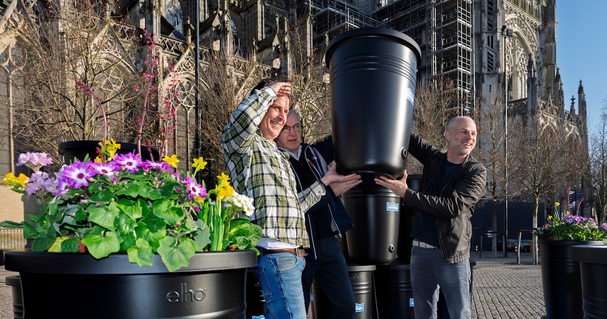 Waterschappen starten landelijke campagne ‘Watervangers’ voor slimmer omgaan met regenwater