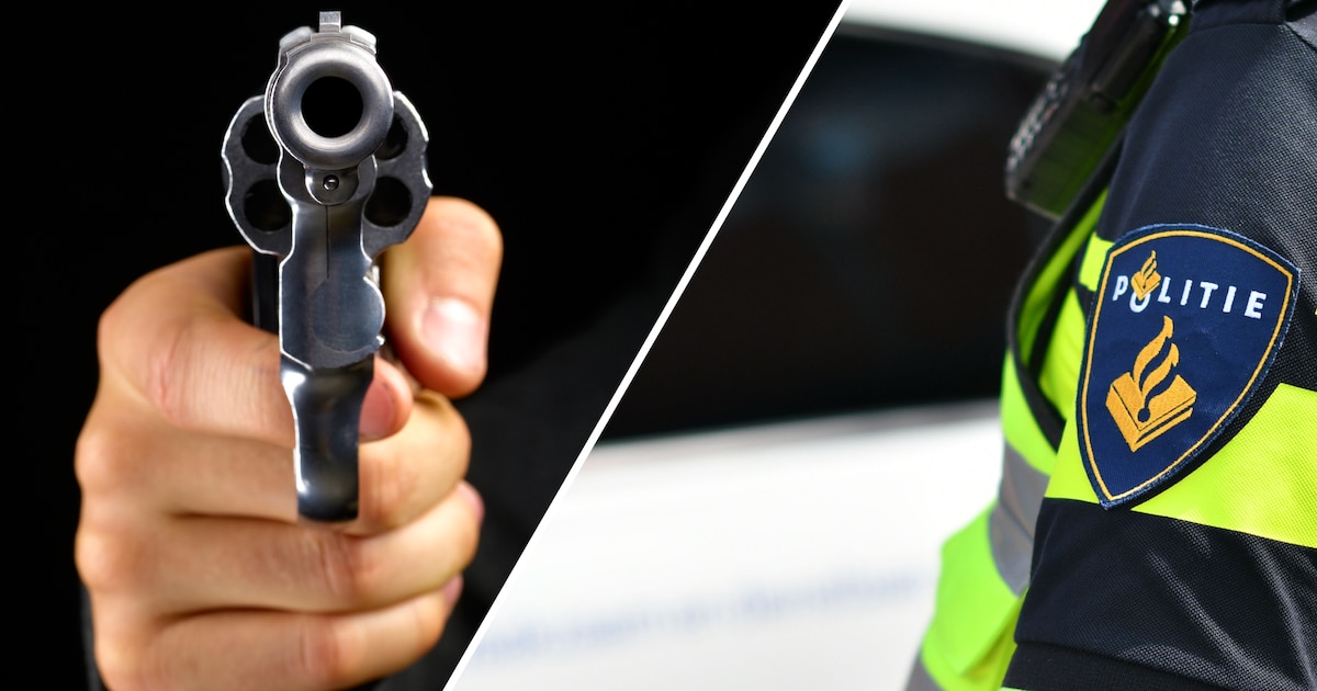 Gevalletje geluidsoverlast in Enschede loopt uit de hand: agent Erna krijgt een pistool op haar geri