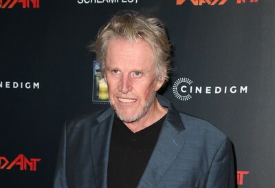 Gary Busey bekent aanranding vrouw in New Jersey