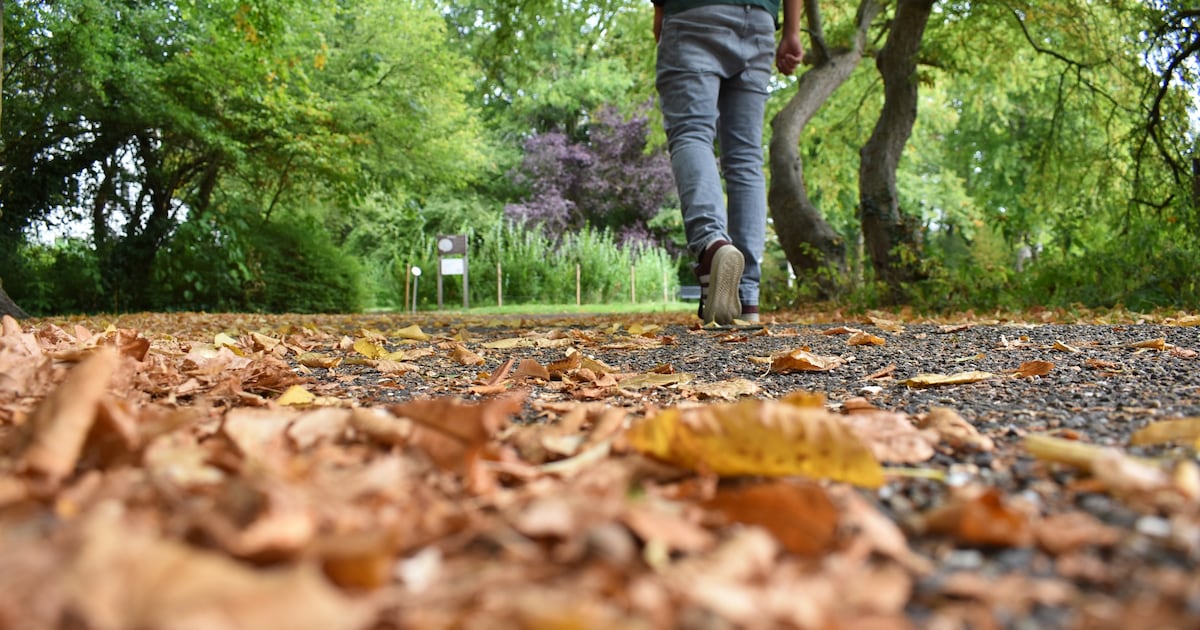 Herfstvakantie in Hengelo: dit is de weersverwachting