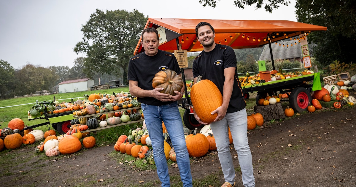 René stopte als boer, nu verkoopt hij duizenden pompoenen