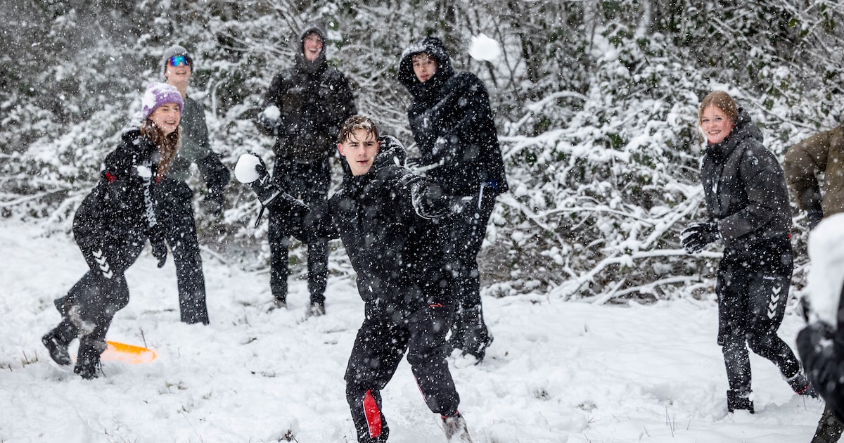 Van sleetje rijden tot sneeuwballen gooien: Twente geniet van dag vol sneeuw