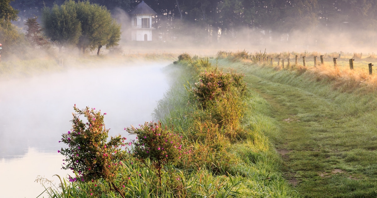 Ammonium in de Berkel: problemen bij waterzuivering in Haarlo, Waterschap werkt aan oplossing