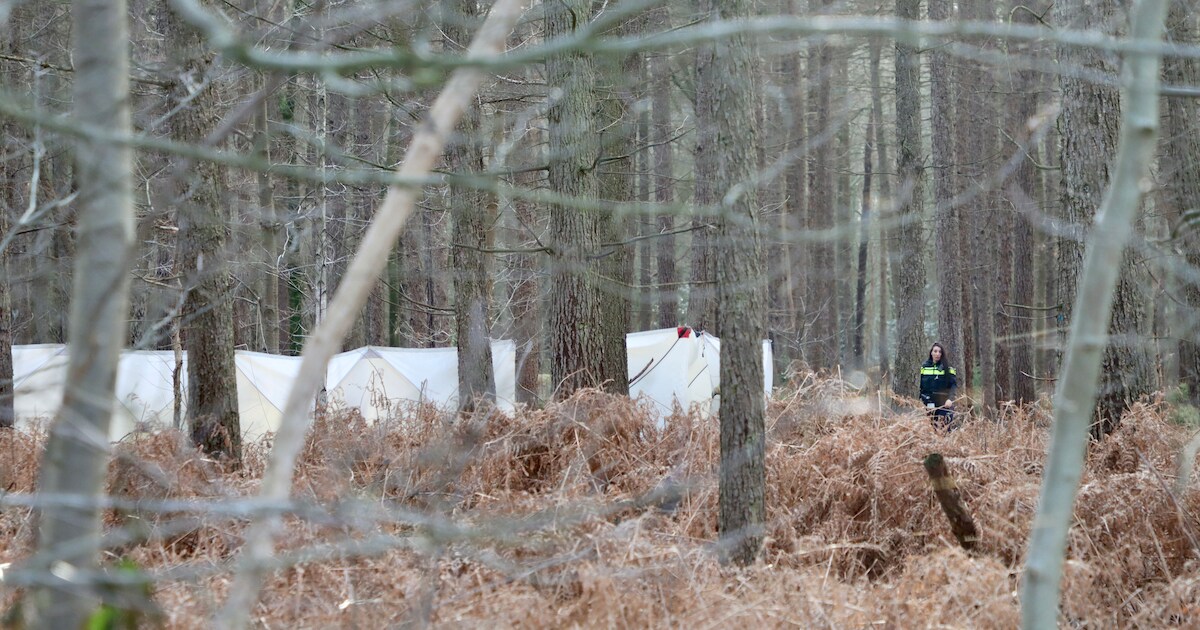 Lichaam gevonden in bos bij Denekamp | Foto