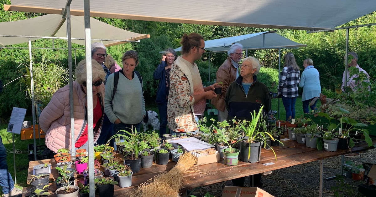 Plantenruil bij Stadsboerderij Beeklust in Almelo richt zich op najaarsplanten