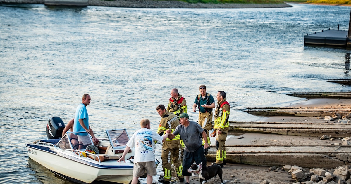 Visser en watersporters redden losgeschoten hond uit de IJssel