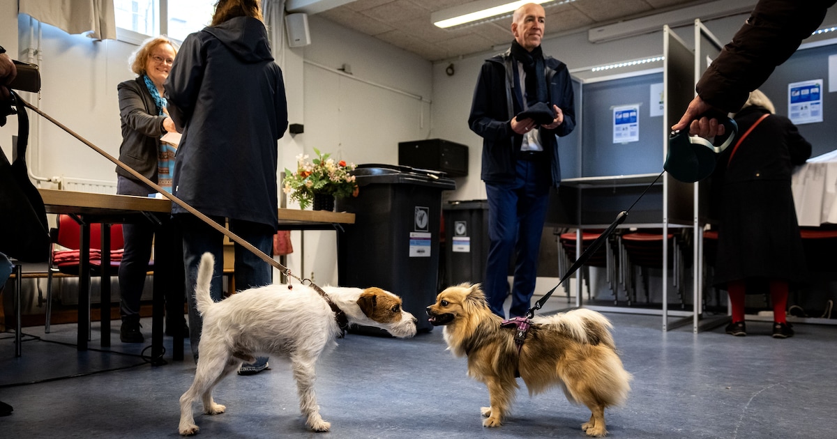 Zo stemde Almelo: in deze wijk haalde de PVV 50 procent van alle stemmen