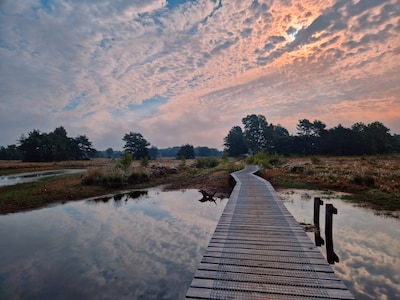 Toestemming Boekelerveld is binnen, maar Nobian waarschuwt: ‘Misschien winnen we hier nooit zout’