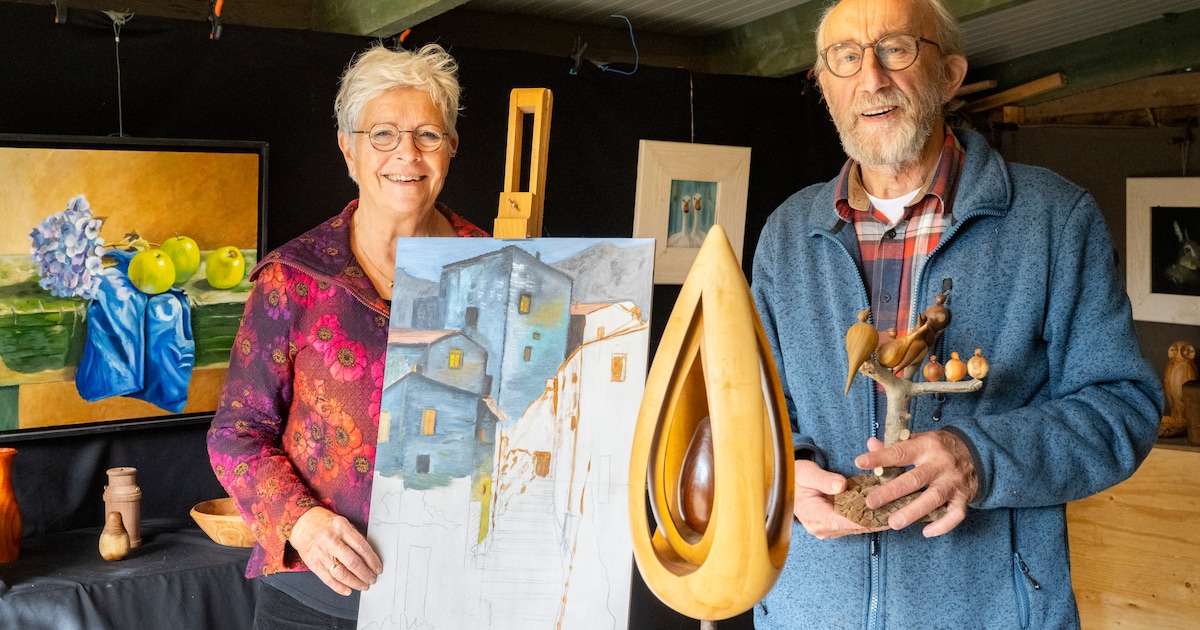 Kleurrijke landschappen en houten uilen in het atelier van Anny (70) en Jan (83) uit Borculo