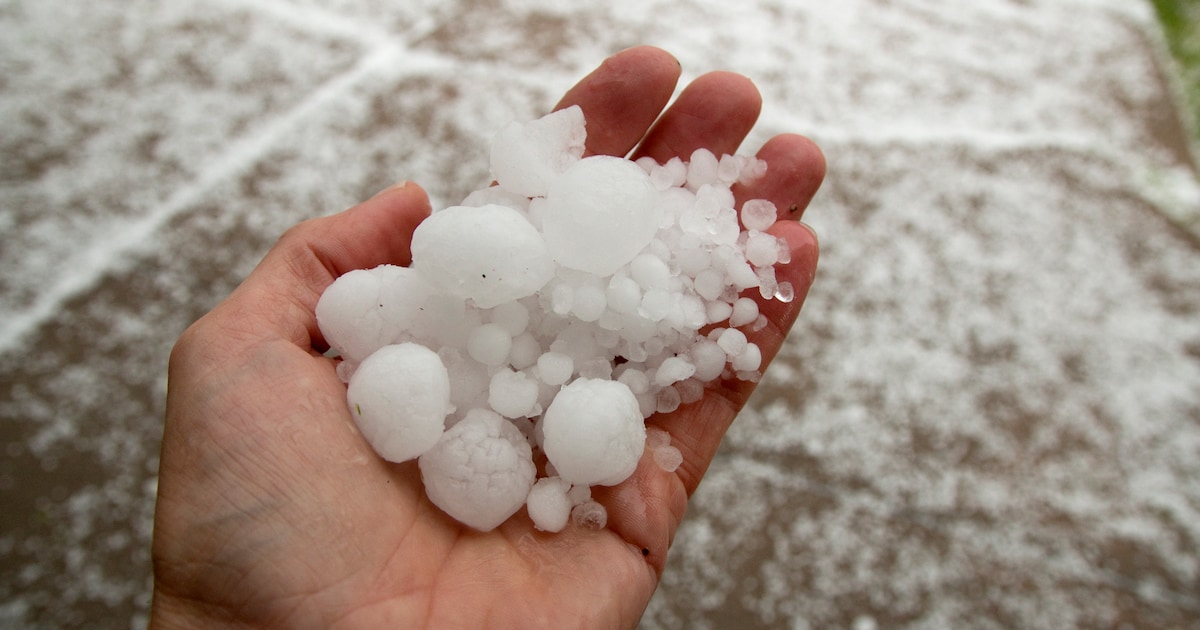 Fors minder schade in Rijssen-Holten door noodweer vorig jaar, schadebedrag door hagel naar het laag