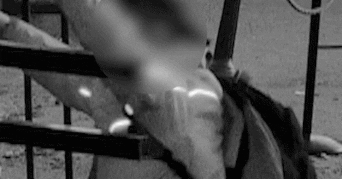 Dief verkleedt zich doodleuk als cowboy en slaat dan toe bij Julianatoren Apeldoorn