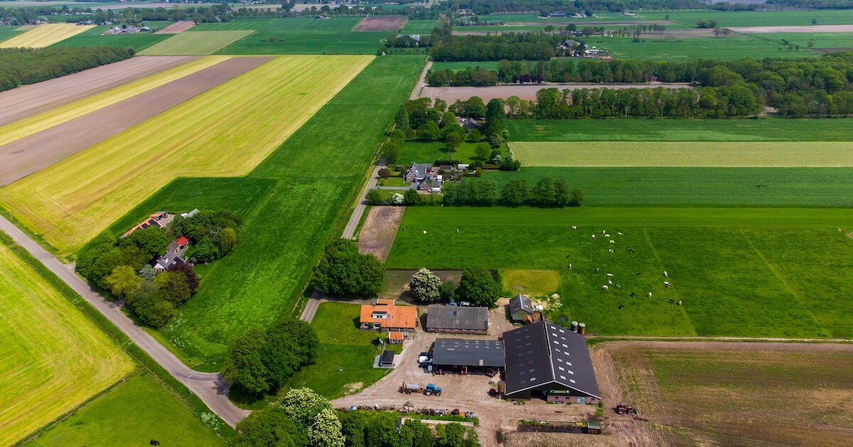 Brabantse zakenman komt met grootse militaire plannen naar de regio: ‘Ik bouw een munitiefabriek in 
