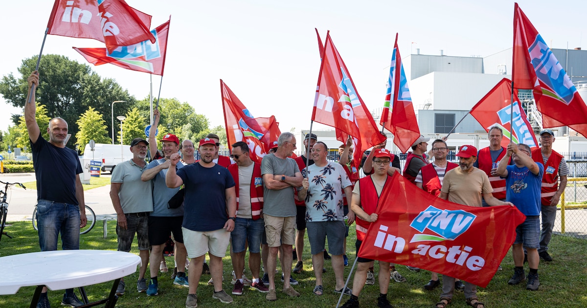 De uitgestoken hand werd geweigerd, dus gingen in Borculo de machines uit: 48-uurs staking