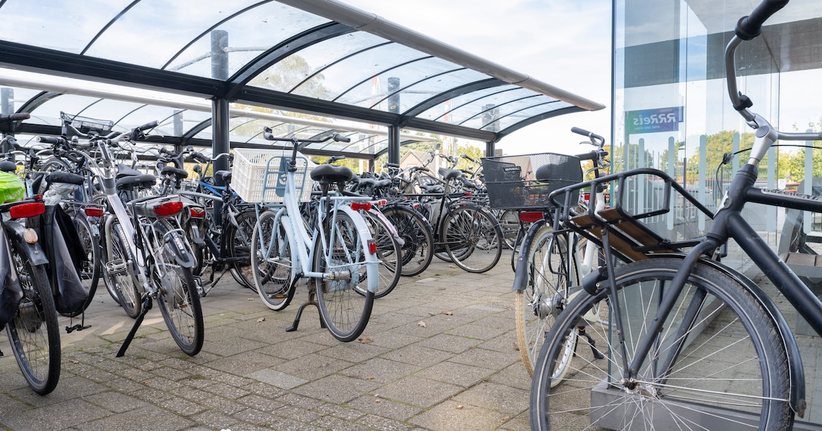 Stationsmanager kon niks met weesfietsen in Vorden, nu zijn er regels