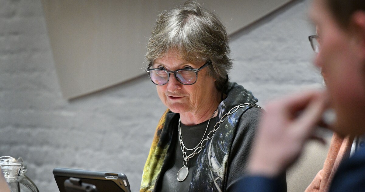 Burgemeester over Dorpsraad Albergen: ‘Zo’n groep heeft niet altijd beslissende rol’