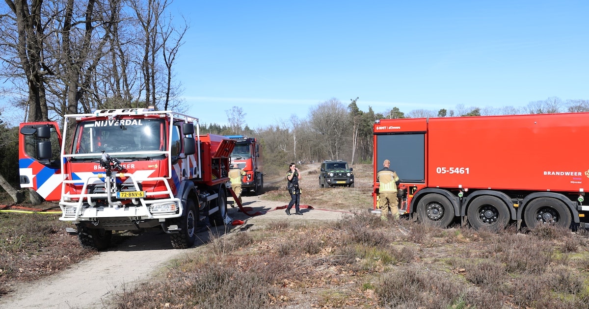 Brandweer massaal naar Nijverdal voor ‘grote’ bosbrand