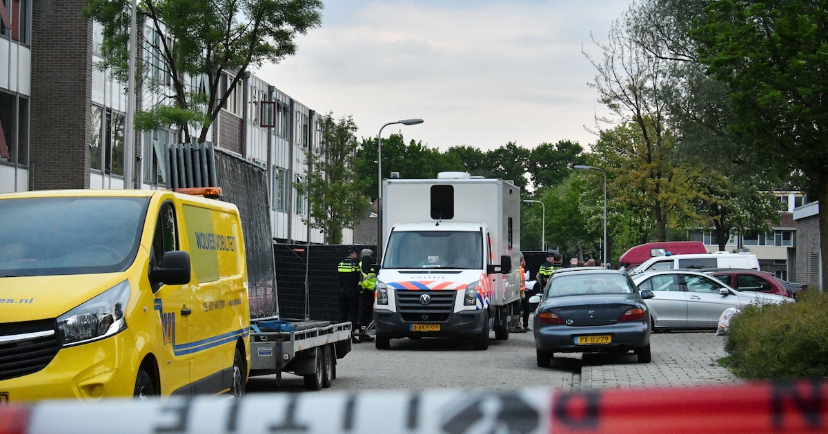Oorlog tussen Satudarah en Simo D. begon met gooien van granaat, nu ...