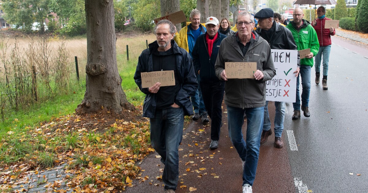 Protestmars over bouw villa’s in Barchemer bos roept vragen op, raadslid wil ‘alles op tafel’ via Wo