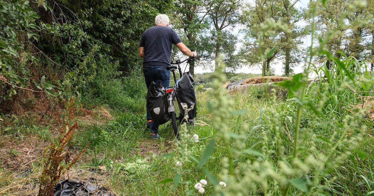 Losser doet ultieme poging om oude paadjes in De Lutte weer in handen te krijgen