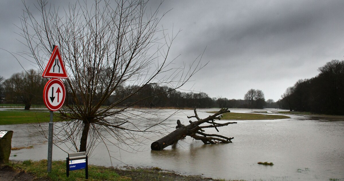 Landgoedeigenaar uit Glane tegenover provincie en waterschap: ‘Jullie moeten meer maatregelen nemen’