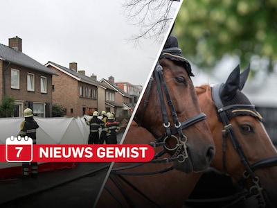 Gemist? AI wijst nieuwe verdachte aan in cold case Marja Nijholt & ruzie rond paarden tussen eigenaa